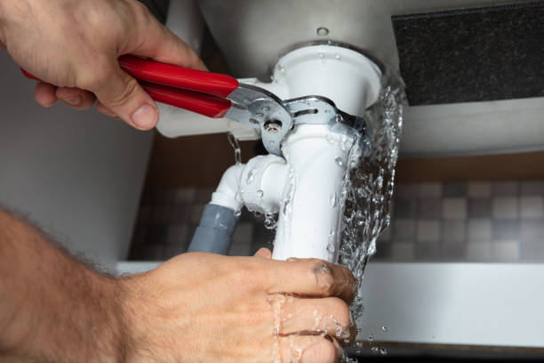 Best Local water damage restoration  in Northwood, OH
