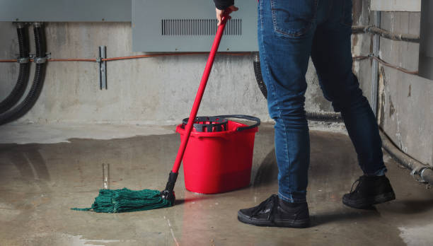 Best Water damage restoration near me  in Northwood, OH