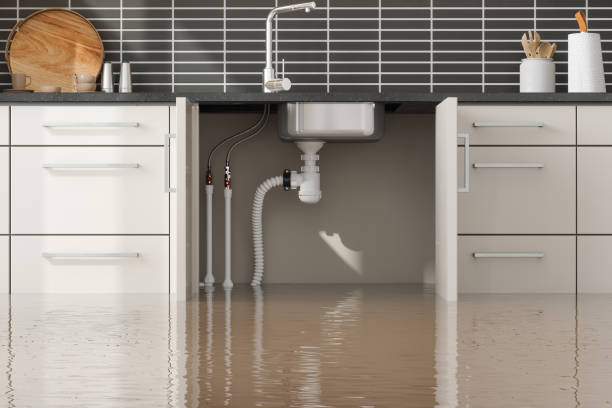 Best Water damage restoration near me  in Northwood, OH